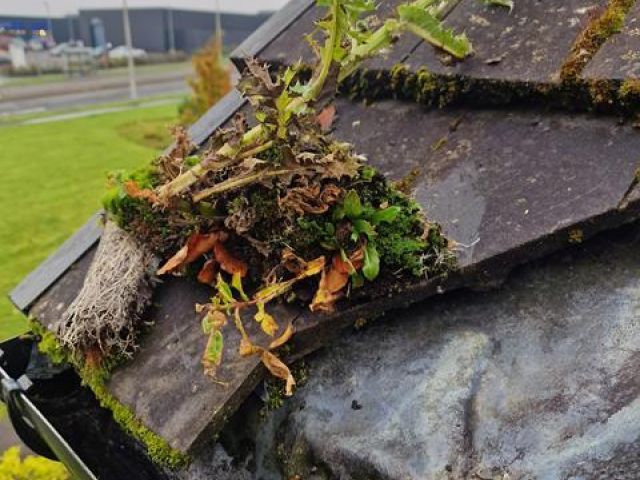 gutter-cleaning-1-kireth-ai