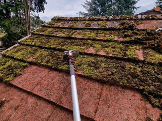 roof-cleaning-5-kireth-ai